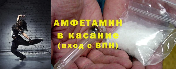 шишки Белоозёрский