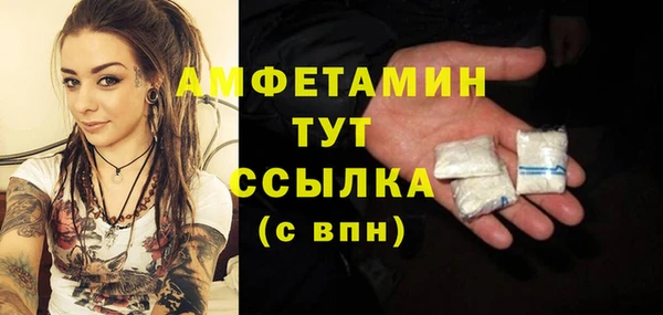 шишки Белоозёрский