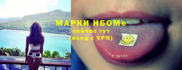 шишки Белоозёрский