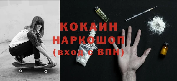 шишки Белоозёрский