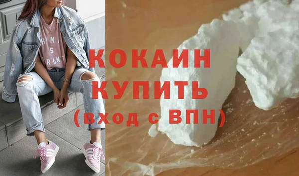 шишки Белоозёрский