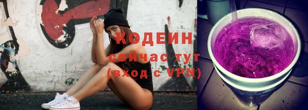 шишки Белоозёрский